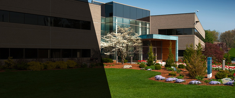 Buckeye Landscapers