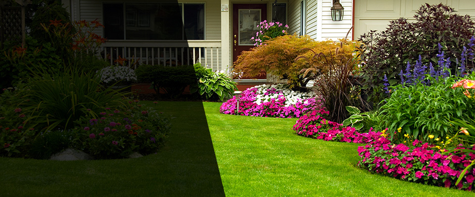 Buckeye Landscapers
