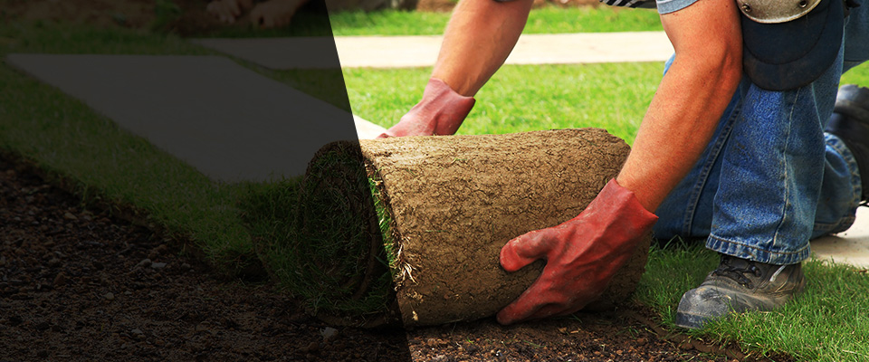 Buckeye Landscapers